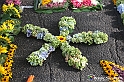 VBS_9566 - Infiorata di Villanova d'Asti 2023